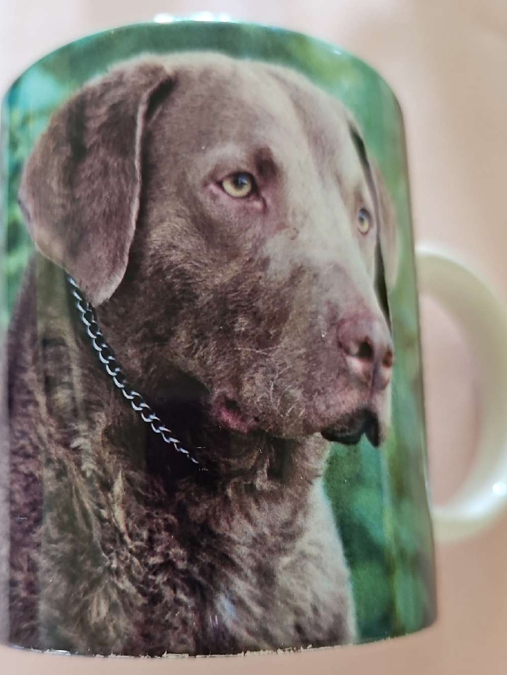 Chesapeake Bay Retriever Dog Mom Dad Coffee Mug